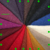 Walkloden Mulesing zertifiziert