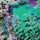 Baumwolljersey Digitaldruck [Öko-Tex] 03 grün-violett