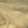 Organza Foliendruck Sterne gold