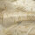 Organza ecru-gold
