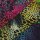Jersey Batik 02 gelb