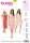 Burda Schnittmuster Damen Kleider Gr. 34 - 46