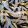 VI Jersey bedruckt ÖkoTex 03 beige-gelb-blau