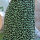 Modestoffe Viskose Jersey grün Leo Öko-Tex  (Kleid)