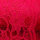 Spitze 08 rot