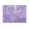 Jacquard Ranken, Design 2544 06 lupine