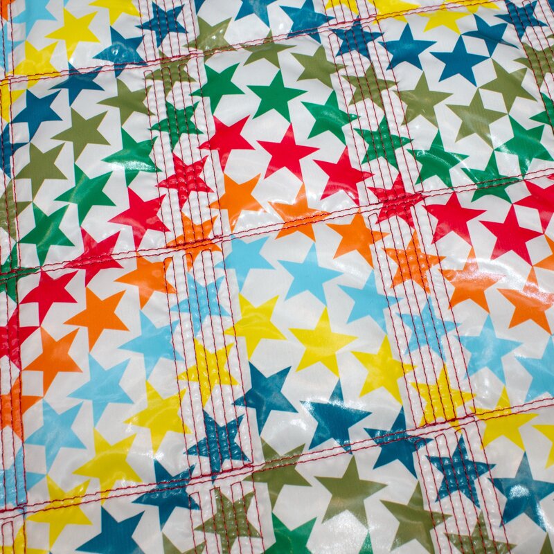 Lackdruck Stepper Stern multicolor