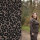 Modestoffe Damen, Rosella Stretch Animal/Leo, braun  (Kleid)