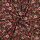 Baumwolljersey Digital Blumen Bordeauxrot – Poppy 27
